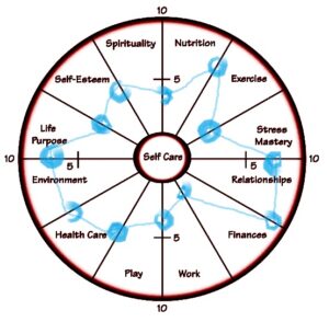 Physicians Anonymous Wheel of Life Exercise